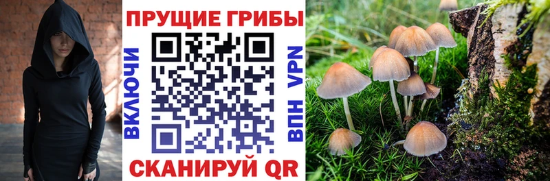 Галлюциногенные грибы GOLDEN TEACHER  где найти наркотики  Белая Холуница 
