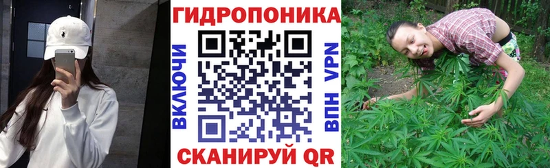 Марихуана марихуана  Белая Холуница 